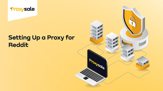 Setting Up a Proxy for Reddit