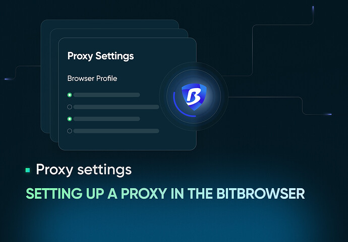 Setting up a proxy in the BitBrowser