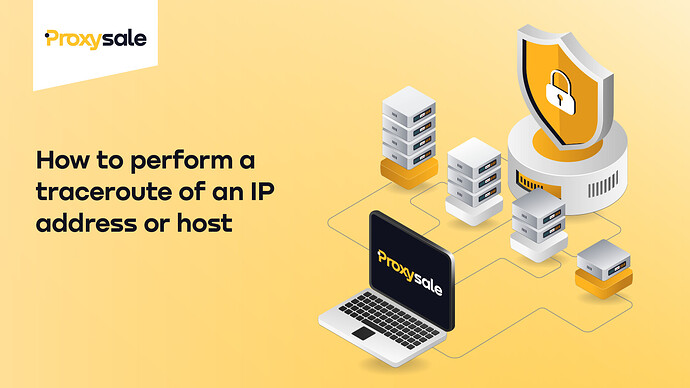 How to perform a traceroute of an IP address or host